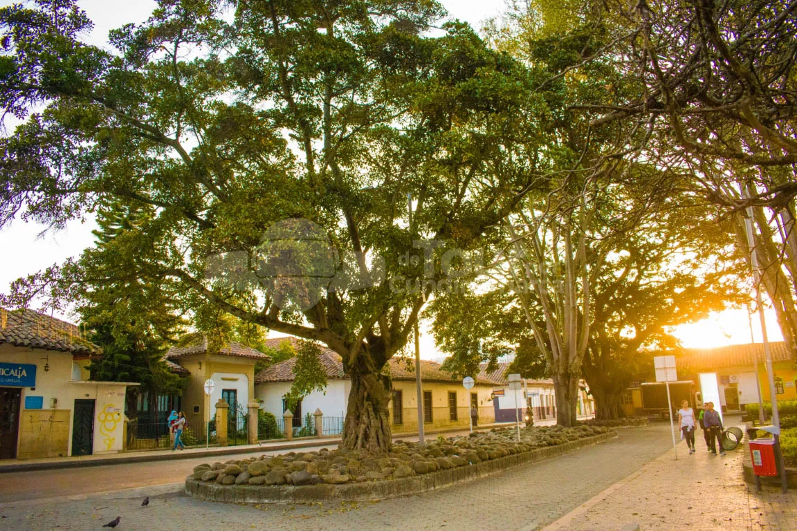 Calle y parque principal de Cajicá al atardecer