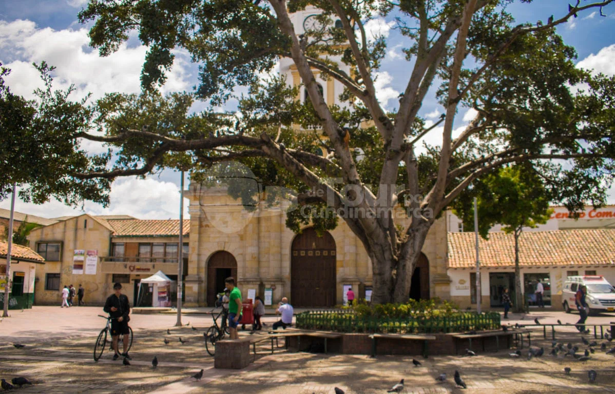 Plaza principal de Chía con su iglesia y árboles centenarios